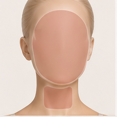 Rostro y cuello